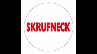 DJ Pooch (Skrufneck Vol 1) - Our Love 2021 Remix