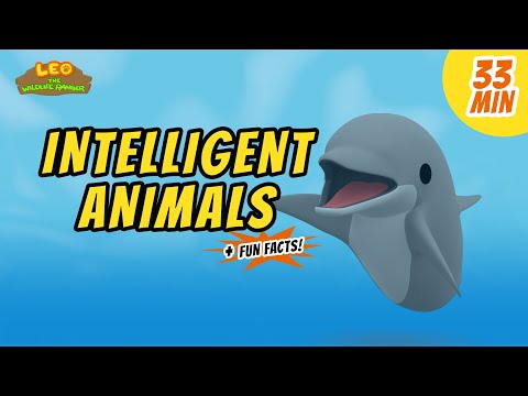 Intelligent Animals - Fun, Exciting Animals Stories for Kids | Educational | Leo the Wildlife Ranger