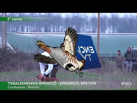 BAGNOREGIO 2025 - DERBY CONTINENTALI 2025 -  BATTERIA 2 CONTINENTALI ESTERI 8 MARZO 2025