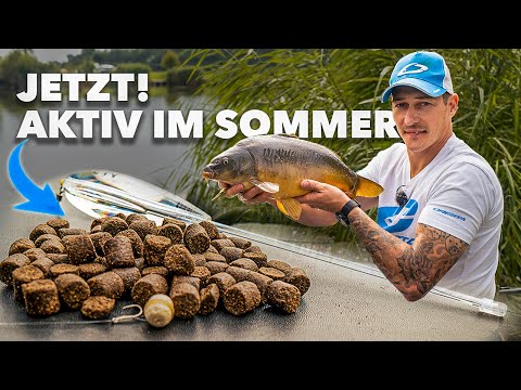 Alles was du zum Pellet angeln wissen musst! @feederfun zeigt es Dir 🎣