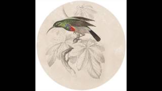 Ethyl & Flori - White Lotus Rebellion