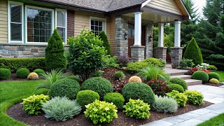Landscaping Plants for a Stunning Front Yard | Elevating Your Home