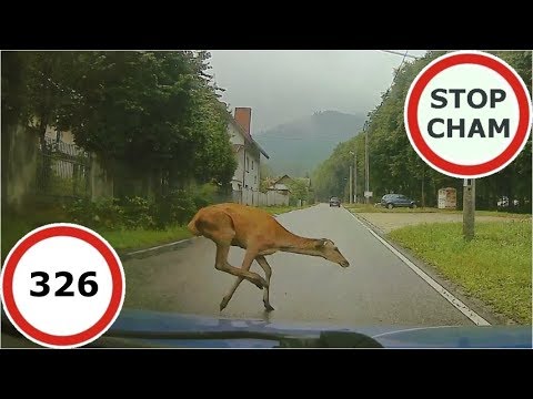 Niebezpieczne i chamskie sytuacje na drogach
