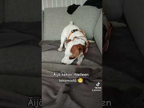 Äijä keksii selkeästi itselleen tekemistä 😁