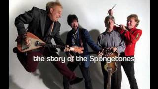 Meet the Spongetones! - April 15, 2011