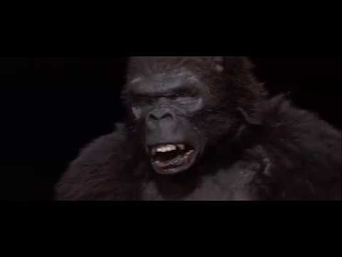 08. Kong Meets Lady Kong (King Kong Lives 1986) Soundtrack