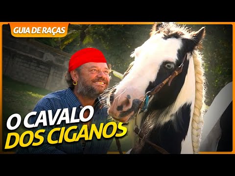 , title : 'GYPSY, O CAVALO DOS CIGANOS! | RICHARD RASMUSSEN'
