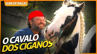 Miniatura do vídeo