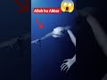 Miracle Of Allah ️ Islam Allah Shorts Gesi Beglari Vairalvideo