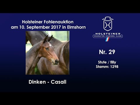 Nr. 29 v. Dinken - Casall