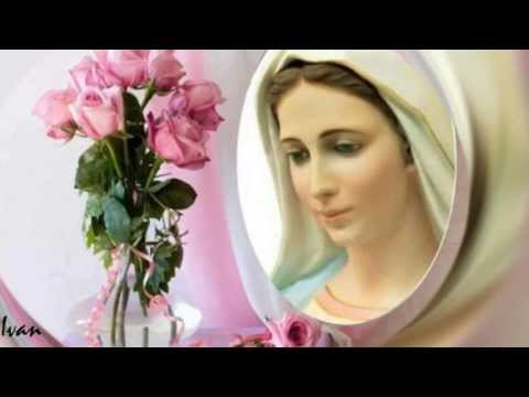 Zdrαvo Djevo, ѕvιн мιloѕтι pυɴα