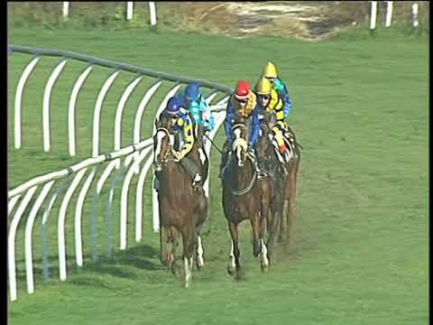 Galoppo 15/11/2017 - 2ª corsa