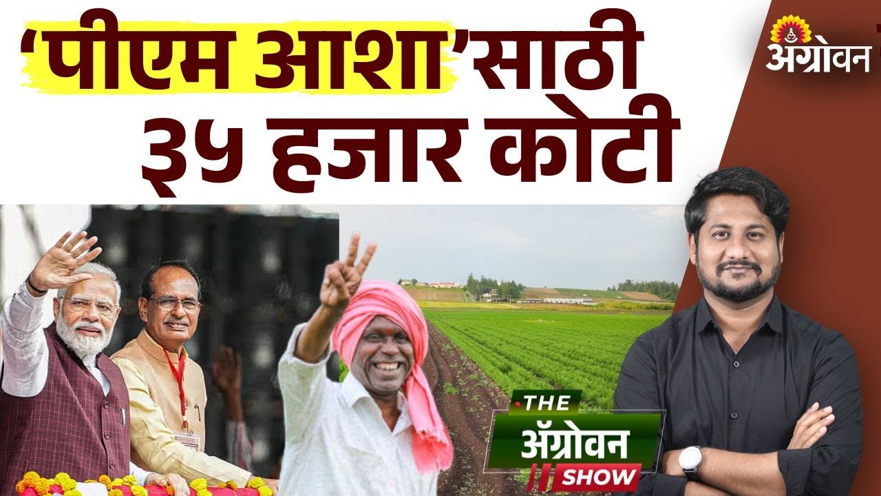 Pm Aaasha Yojana : पंतप्रधान अन्नदाता उत्पन्न संरक्षण अभियानातून शेतकऱ्यांपेक्षा ग्राहकांचं कल्याण ?
