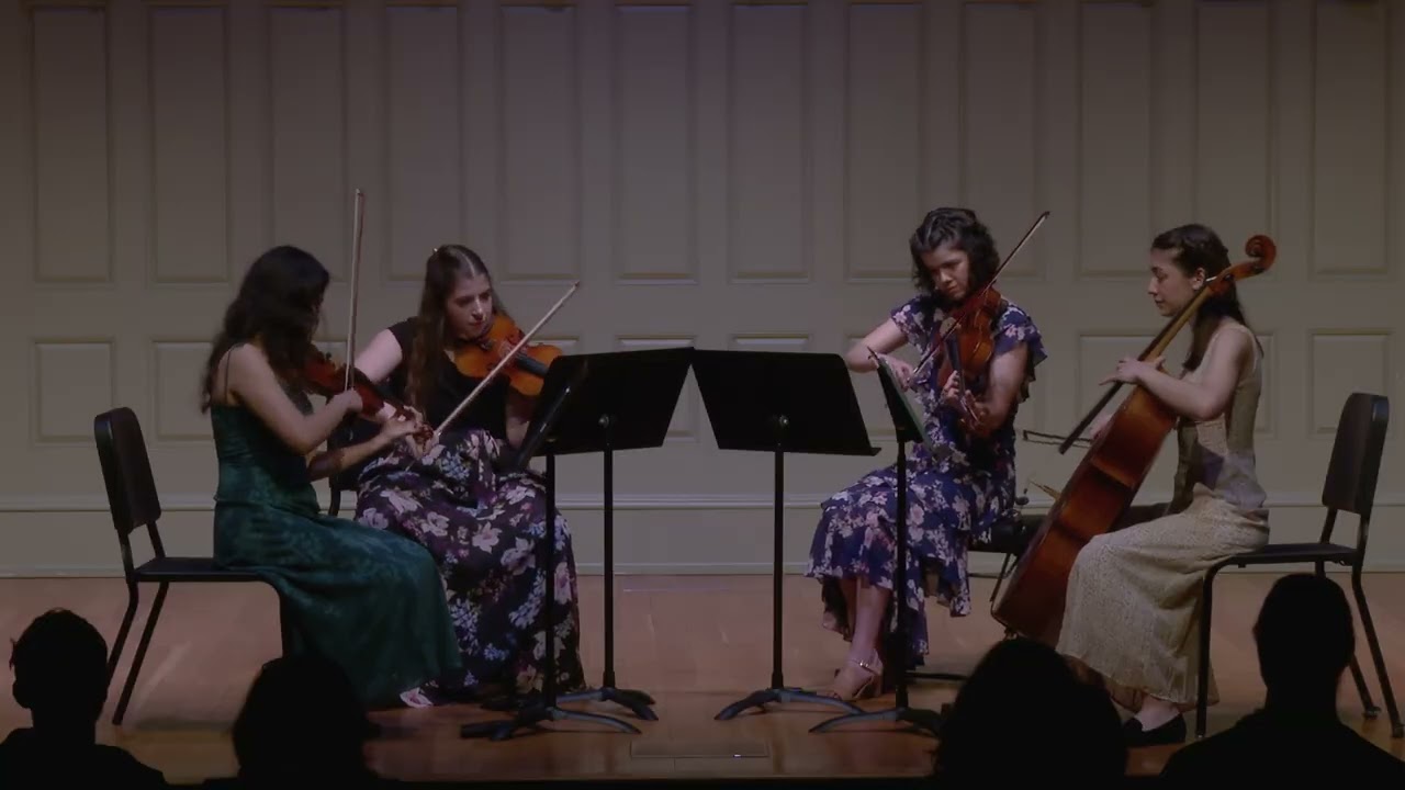 Promotional video thumbnail 1 for Violinist, Clara M