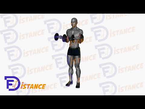 Curls inversé haltères - Exercice Curls inversé haltères en vidéo