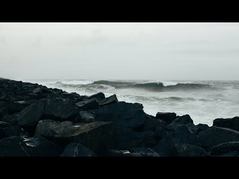 GMJ & Matter - Microclimate