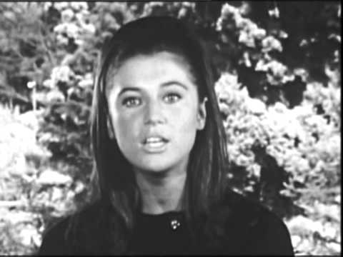 Vĩnh biệt tình yêu (Adios amor) - Sheila