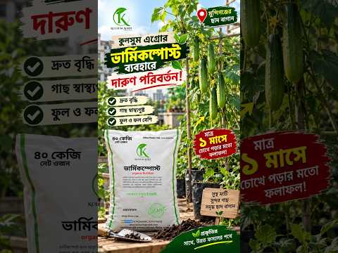 গ্রাহক ভিডিও রিভিউ