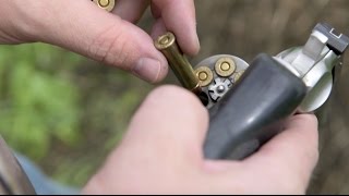 Bear Defense: Tips for Using a Handgun as a Backup