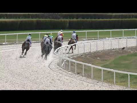 2021.04.04. 01. futam - HÚSVÉTI HENDIKEP (V/b.) (szintetikus pálya)