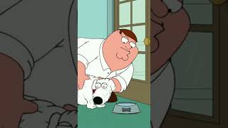Download lagu [Family Guy] Old Brian #comedy #familyguy #petergriffin #briangriffin #funny mp3