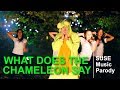 What Does the Chameleon Say? (Ylvis - What Does ...