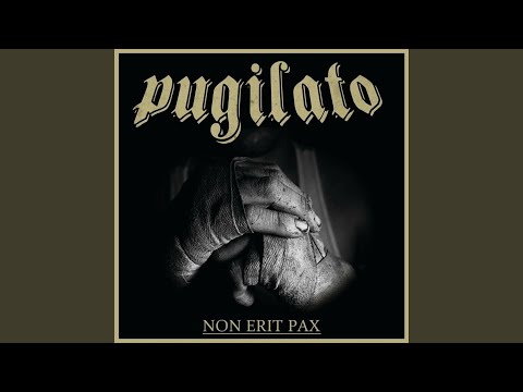 Pugilato