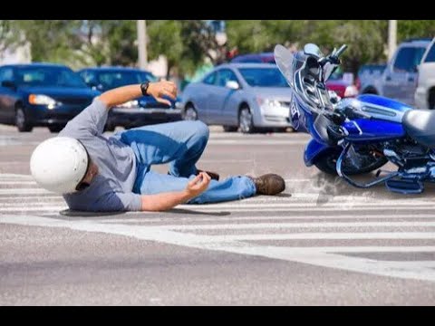 Serpentize, a magyar sikersztori