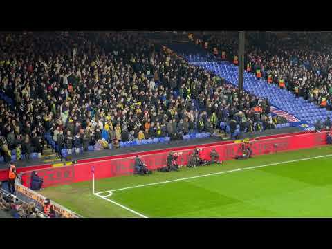 Norwich City supporters: "Let's pretend we scored a goal!"