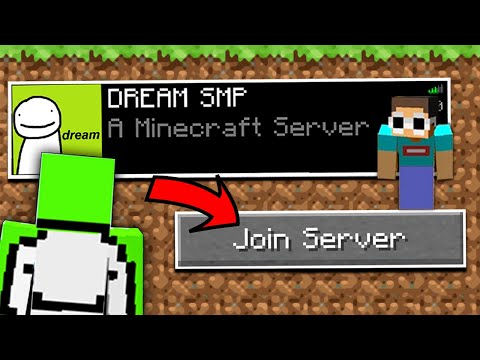 I Joined The Dream SMP...