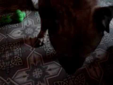 Tigrou et les tic tac!!