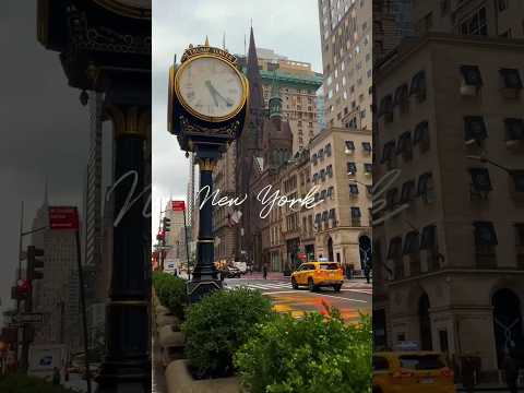 Express NYC: Brief Encounters with Iconic Landmarks 🇺🇸 🎥 #shorts