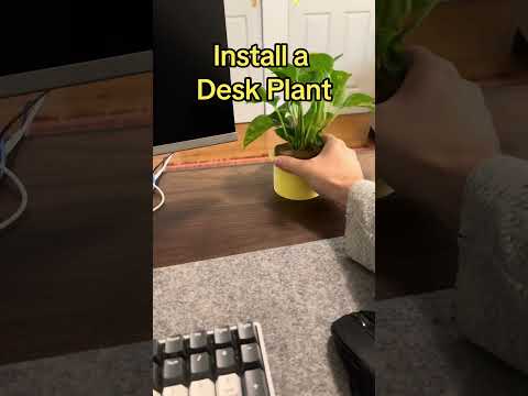 The best way to increase productivity at work