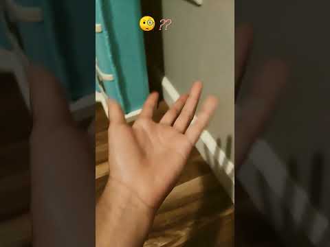 14 de agosto de 2024