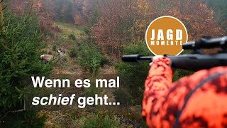 Drückjagd mit Nachsuche | JagdMomente | Jagdfilme