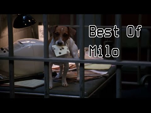 Best Of Milo (The Mask)