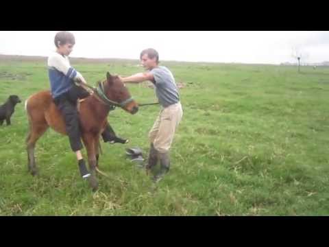 jineteando el potrillo