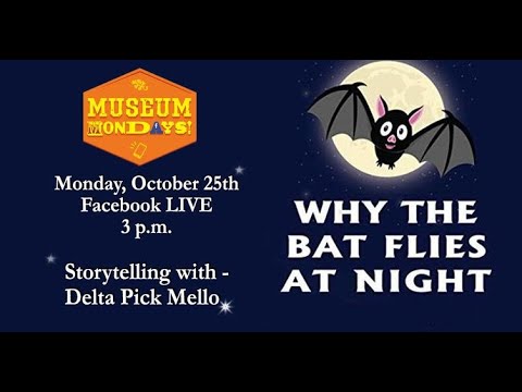 Why Bat Flies at Night