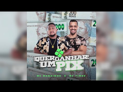 MC NANDINHO & MC TIMBU - QUER GANHAR UM PIX [ PROD. TIMBU ]