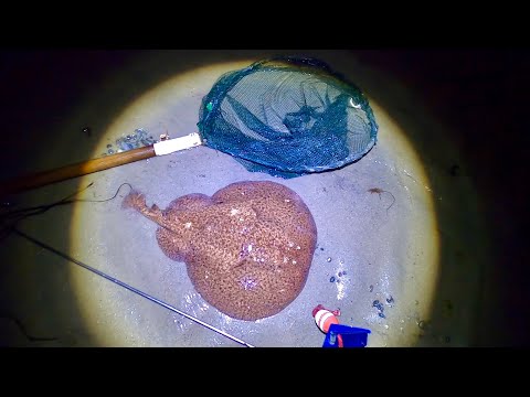 My Rarest & Coolest Foraging Catch Ever ! Catch Clean Cook