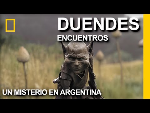 Increíbles Historias de Duendes Reales en la Argentina, vio a un duende, real duende