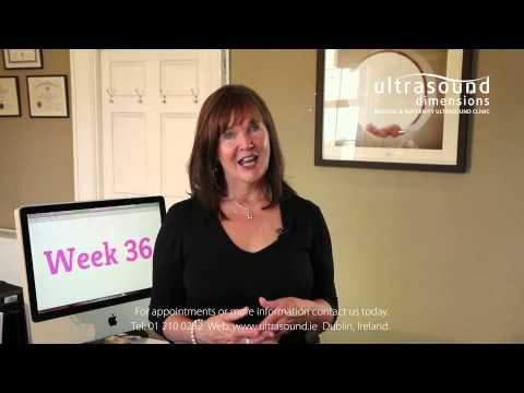 36 Weeks Pregnant - Your 36th Week Of Pregnancy