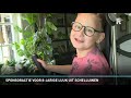 Rijnmond Nieuws - zondag 18 augustus 2019
