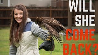 We Let Her Go | Red Tailed Hawks first Free Flight