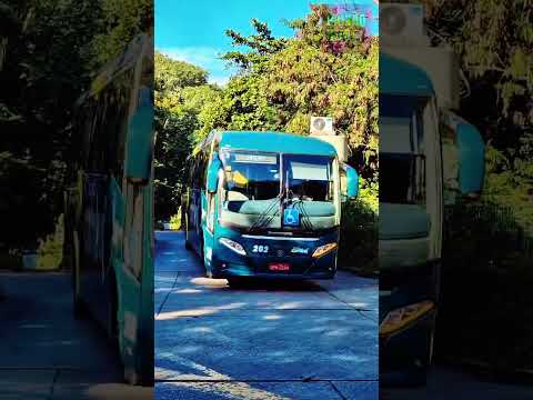 SÃO PAULO x CAMBUÍ: VIAÇÃO CAMBUÍ DEIXANDO A CAPITAL! 🚍🛣️  #eduardocosta #sertanejo #musica