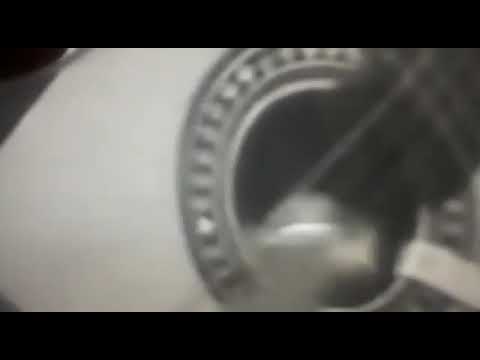 Veloso & Velosinho (Campeão do Pealo)