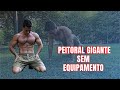 Peito e ombro Completo sem Equipamento