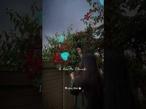 Kho Leya | Rooh khan | Punjabi Letast WhatsApp status Lyrics Rohit