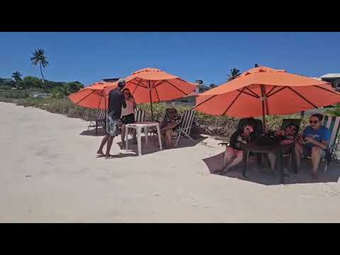 Conheça a Dotô Sonhadô Beach | Um Paraíso à Beira-Mar em Goiana/PE