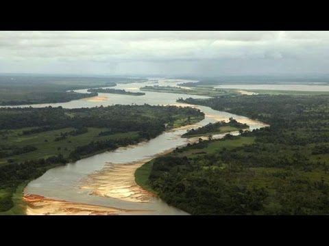 Bianca - Schweigender Don